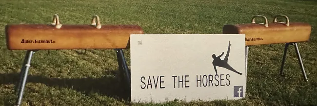 Save the horses